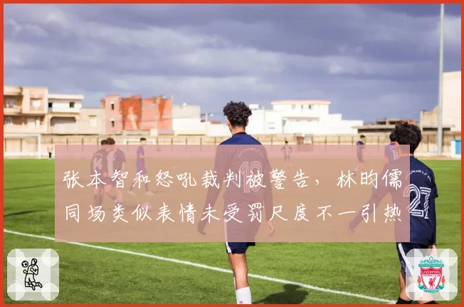 张本智和怒吼裁判被警告，林昀儒同场类似表情未受罚尺度不一引热议