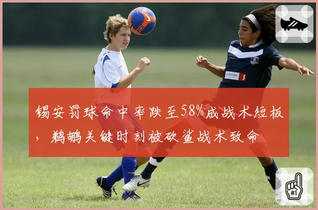 锡安罚球命中率跌至58%成战术短板,鹈鹕关键时刻被砍鲨战术致命
