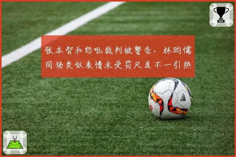 张本智和怒吼裁判被警告，林昀儒同场类似表情未受罚尺度不一引热议