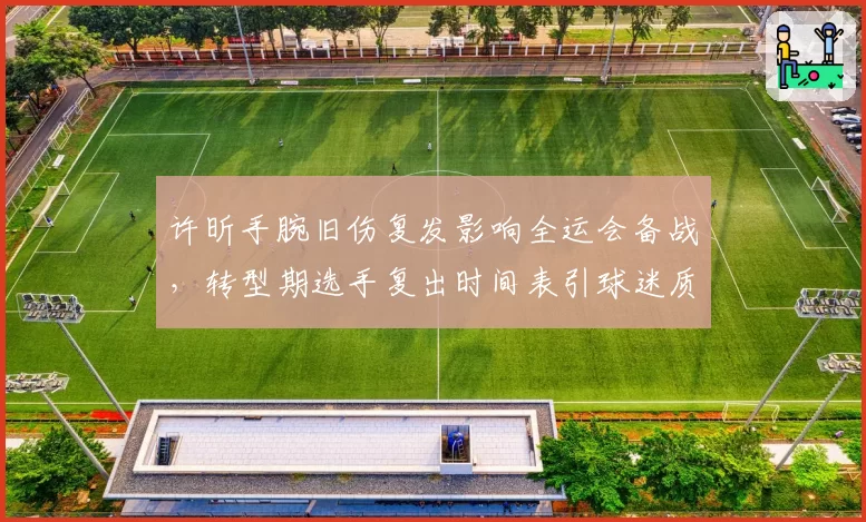 许昕手腕旧伤复发影响全运会备战，转型期选手复出时间表引球迷质疑